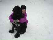 Фотография Ройзман Анны