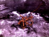 Виктор Назарет фотография #37 (источник - https://vk.com/id53760)