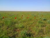 Фотография Иванова Макса