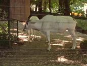 Віка Богатюк фотография #43 (источник - https://vk.com/id77462187)