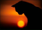 Фотография Гаджиевой Надежды