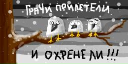 Муни Moonlight фотография #6 (источник - https://vk.com/id444093)