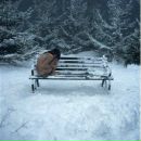 Фотография Шавель Юлии