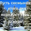 Максим Галкін фотография #1