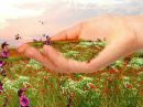 Фотография Ковтун Елены