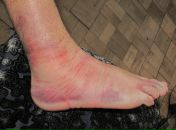 Фотография Сергеева Саши