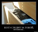 Аліна Бумажка фотография #32 (источник - https://vk.com/id40640378)