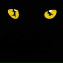 Фотография Глазковой Юли