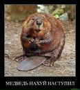 Chris Pingui фотография #28 (источник - https://vk.com/id2642943)