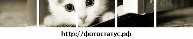 Тамілка Зільник фотография #13 (источник - https://vk.com/id110814264)