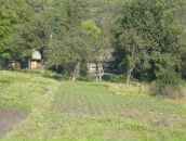 Тетяна Перегінець фотография #3 (источник - https://vk.com/id373348569)