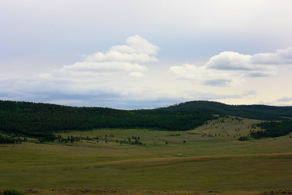Максим Леонов фотография #50