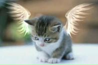 Ірина Никитенко фотография #1