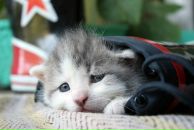 Фотография Вязгичевой Наташи