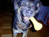 Фотография Ковалевой Анны