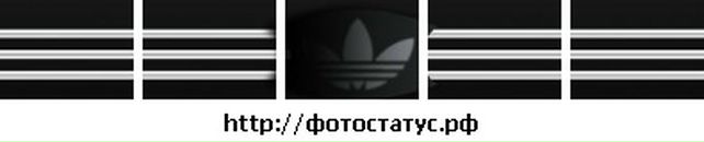 Коля Лавренюк фотография #27 (источник - https://vk.com/id133544274)