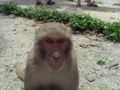 Фотография Орловой Лизы