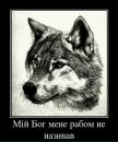 Андрій Мелешко фотография #6 (источник - https://vk.com/id244796621)