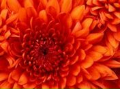 Фотография Титковой Натальи