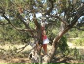 Фотография Шошин Дмитрий