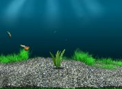 Эдуард Κрюков фотография #1