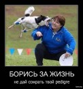Іван Юськів фотография #47 (источник - https://vk.com/id30709672)