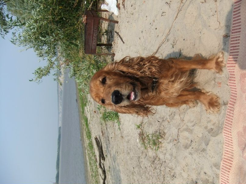 Николай Пластков фотография #4