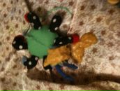 Фотография Чернова Александра