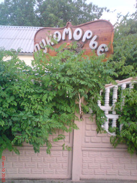 Элла Стаценко фотография #27