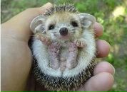 Фотография Милитеевой Яны