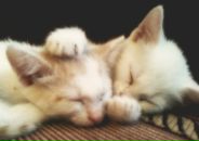 Фотография Якуничевой Евгении