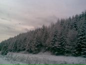 Віктор Гутак фотография #20 (источник - https://vk.com/id119080217)