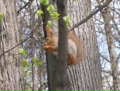 Анна Зайцева фотография #37 (источник - https://vk.com/id1846498)