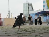 Світлана Леник фотография #25 (источник - https://vk.com/id21869766)