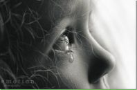 Фотография Шейко Юлии