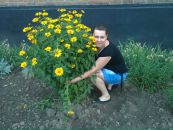 Наталія Тарасюк фотография #44 (источник - https://vk.com/id63443567)