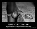Фотография Донда Евгений