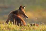 Фотография Власенко Людмилы