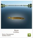 Віта Шматко фотография #45 (источник - https://vk.com/id156132848)