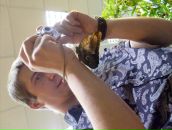 Фотография  