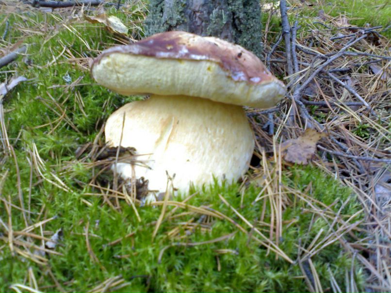 Шотохин Денис фотография #5