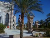 Фотография Mcdowel Pibody