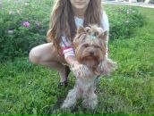 Фотография Мельниковой Марины