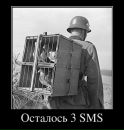 Саша Сірік фотография #41 (источник - https://vk.com/id162005491)