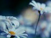 Ксюшка Хлебнік фотография #23 (источник - https://vk.com/id16374266)