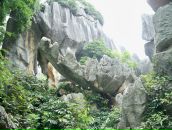 Іван Вежнавец фотография #38 (источник - https://vk.com/id4058007)