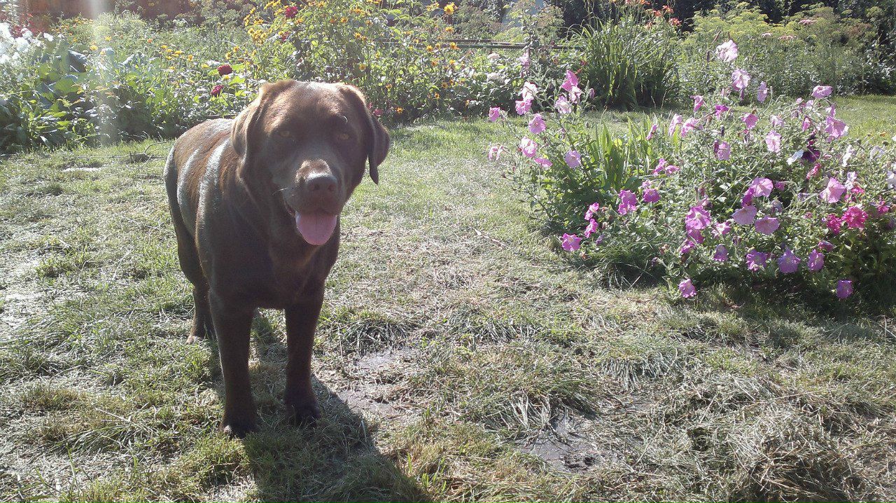 Денис Косицын фотография #25