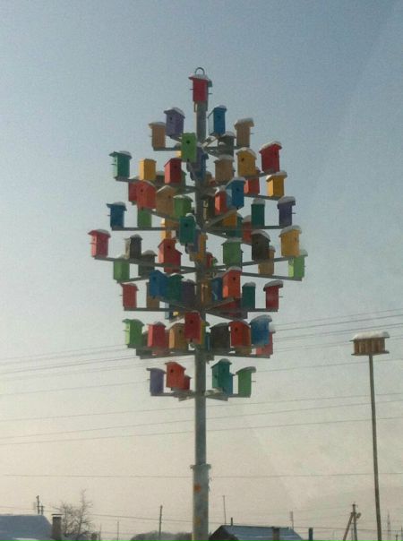 Александер Матрин фото №33