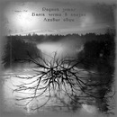 Фотография Бурдадина Романа