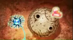 Фотография Ягафарова Рината